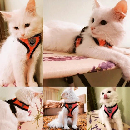 Summer Cat Dog Harness Lead Leash Adjustable Vest Polyester Mesh Breathable Harnesses Reflective for Small Dog Cat Lesah - Furbury