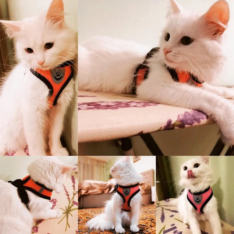 Summer Cat Dog Harness Lead Leash Adjustable Vest Polyester Mesh Breathable Harnesses Reflective for Small Dog Cat Lesah - Furbury