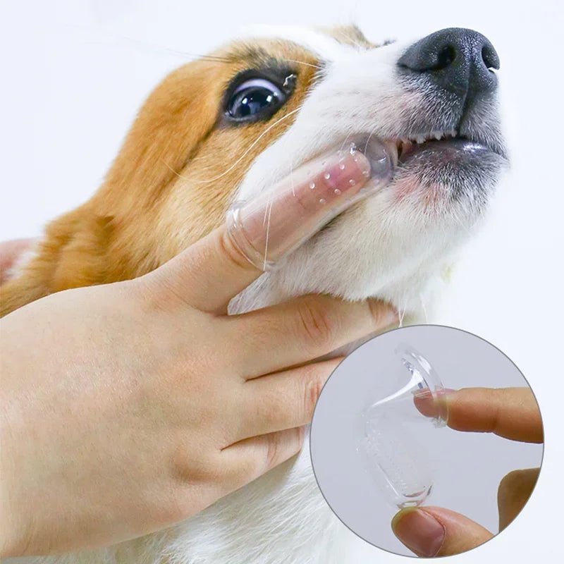 Super Soft Pet Finger Toothbrush Teddy Dog Brush Bad Breath Tartar Teeth Care Tool Dog Cat Cleaning Silicagel Pet Supplies - Furbury